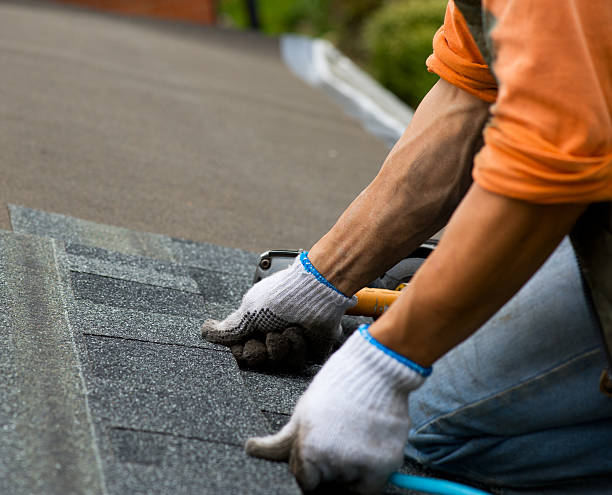 Roof Repair Estimates in South Brooksville, FL