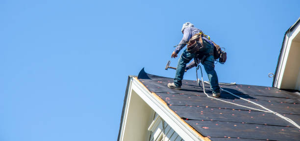 Best Metal Roofing Contractor  in South Brooksville, FL